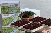 占卜免费高速赋能产业升级：一条“杨梅路”的致富密码